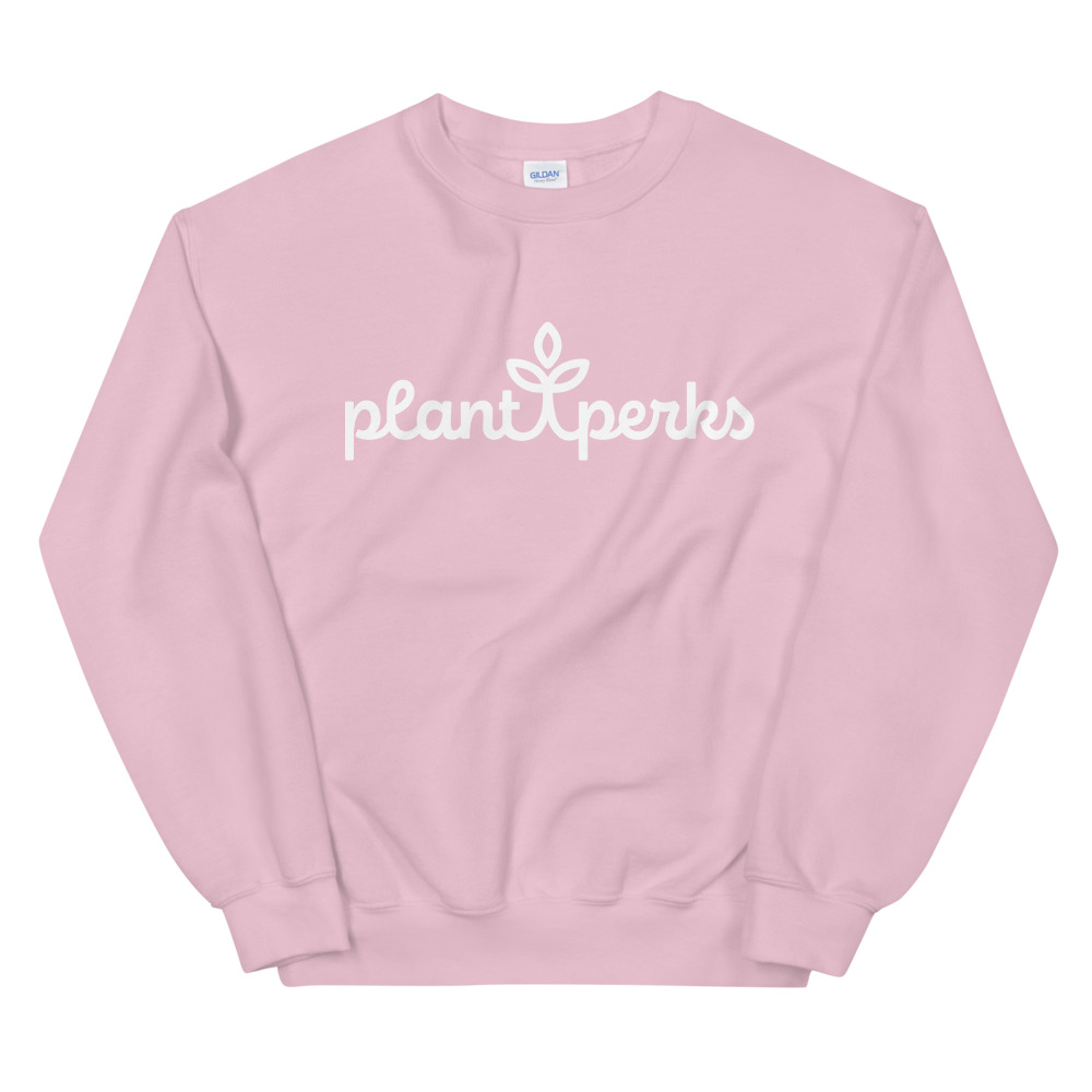 soft pink sweatshirt